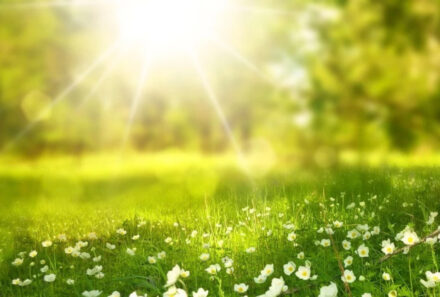 Sole in primavera: come proteggersi